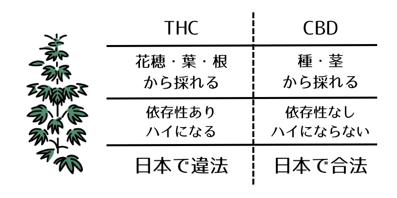 CBD-THC-違い